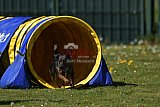 2nd chanche agility apeldoorn v.p