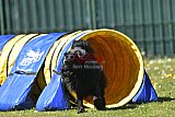 2nd chanche agility apeldoorn v.p