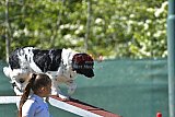 2nd chanche agility apeldoorn v.p