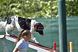 2nd chanche agility apeldoorn v.p