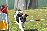 2nd chanche agility apeldoorn v.p