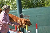 2nd chanche agility apeldoorn v.p