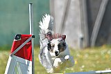 2nd chanche agility apeldoorn v.p