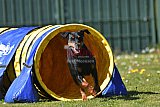 2nd chanche agility apeldoorn v.p
