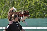 2nd chanche agility apeldoorn v.p