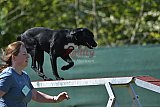 2nd chanche agility apeldoorn v.p