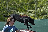 2nd chanche agility apeldoorn v.p