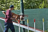 2nd chanche agility apeldoorn v.p