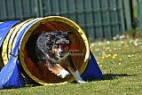 2nd chanche agility apeldoorn v.p