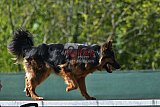 2nd chanche agility apeldoorn v.p