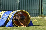 2nd chanche agility apeldoorn v.p