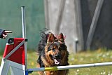 2nd chanche agility apeldoorn v.p