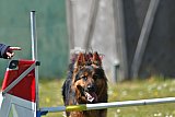 2nd chanche agility apeldoorn v.p