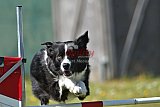 2nd chanche agility apeldoorn v.p