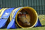 2nd chanche agility apeldoorn v.p