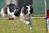 2nd chanche agility apeldoorn v.p