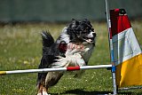 2nd chanche agility apeldoorn v.p