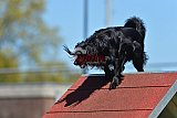 2nd chanche agility apeldoorn v.p