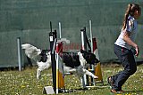 2nd chanche agility apeldoorn v.p