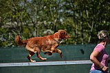 2nd chanche agility apeldoorn v.p