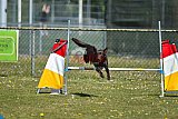 2nd chanche agility apeldoorn v.p