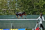 2nd chanche agility apeldoorn v.p