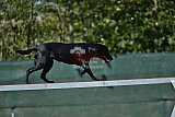 2nd chanche agility apeldoorn v.p