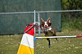 2nd chanche agility apeldoorn v.p