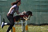 2nd chanche agility apeldoorn v.p
