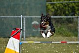 2nd chanche agility apeldoorn v.p
