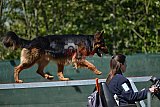 2nd chanche agility apeldoorn v.p