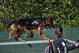 2nd chanche agility apeldoorn v.p