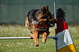 2nd chanche agility apeldoorn v.p