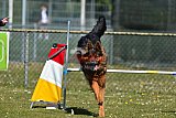 2nd chanche agility apeldoorn v.p