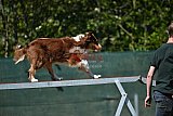 2nd chanche agility apeldoorn v.p