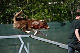 2nd chanche agility apeldoorn v.p