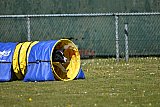 2nd chanche agility apeldoorn v.p