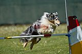 2nd chanche agility apeldoorn v.p