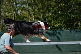2nd chanche agility apeldoorn v.p