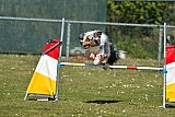 2nd chanche agility apeldoorn v.p
