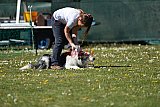 2nd chanche agility apeldoorn v.p
