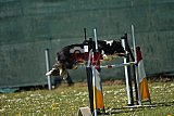 2nd chanche agility apeldoorn v.p