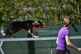 2nd chanche agility apeldoorn v.p