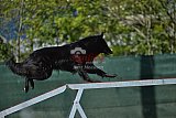 2nd chanche agility apeldoorn v.p