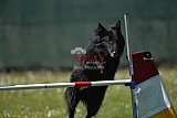 2nd chanche agility apeldoorn v.p