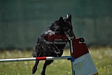 2nd chanche agility apeldoorn v.p
