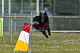 2nd chanche agility apeldoorn v.p