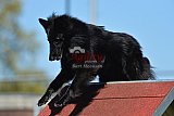 2nd chanche agility apeldoorn v.p