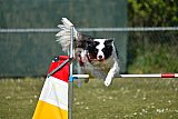 2nd chanche agility apeldoorn v.p