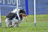 Canis donderdag
